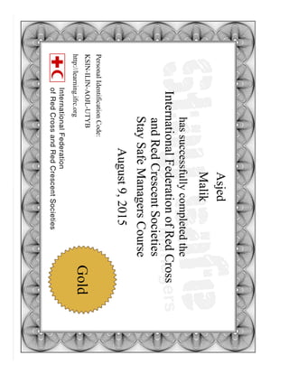 Stay safe security managers certificate