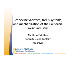 Grapevine	
  varie*es,	
  trellis	
  systems,	
  	
  
and	
  mechaniza*on	
  of	
  the	
  California	
  
raisin	
  industry	
  
Ma:hew	
  Fidelibus	
  
Vi*culture	
  and	
  Enology	
  
UC	
  Davis	
  
 
