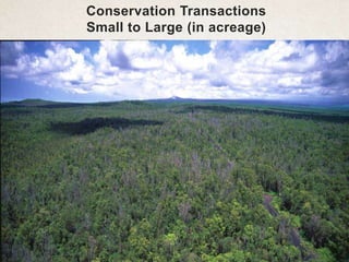 Conservation Transactions
Small to Large (in acreage)
 