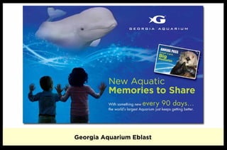 Georgia Aquarium Eblast
 
