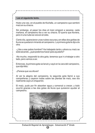 Evaluación Regional de Aprendizajes. Comunicación 2° Grado
10
Lee el siguiente texto.
Hubo una vez, en el pueblo de Kiuñalla, un campesino que sembró
maíz en su chacra.
Sin embargo, al pasar los días el maíz empezó a secarse, cada
mañana, el campesino iba a ver su chacra. Él quería que lloviera,
pero ni una nube se veía en el cielo.
Cierto día, aparecieron unas nubes oscuras y en ellas dos gotitas de
lluvia se quedaron mirando al campesino. La primera gota le dijo a la
otra:
-¿Ves a ese pobre hombre? Ha trabajado tanto y ahora su maíz se
está secando. ¿qué podemos hacer para ayudarlo?
-No mucho, respondió la otra gota, tenemos que ir a trabajar a otro
lado, pero vamos a ver.
Entonces, la primera gota se lanzó y cayó en la cara del campesino,
que dijo feliz:
-¡Parece que va a llover!
Al ver la alegría del campesino, la segunda gota llamó a sus
compañeras y cayeron todas sobre las plantas de maíz, ese día
realmente cayó un chaparrón.
El maíz, pudo por ﬁn absorber agua y comenzó a crecer, y todo
ocurrió gracias a las dos gotas de lluvia que quisieron ayudar al
campesino.
 