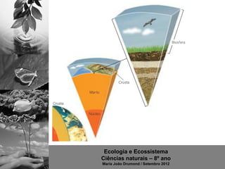 Ecologia e Ecossistema
Ciências naturais – 8º ano
Maria João Drumond / Setembro 2012
 