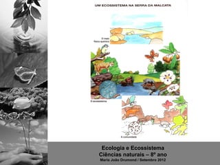 Ecologia e Ecossistema
Ciências naturais – 8º ano
Maria João Drumond / Setembro 2012
 