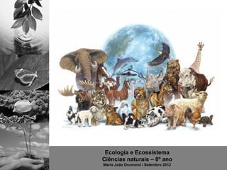Ecologia e Ecossistema
Ciências naturais – 8º ano
Maria João Drumond / Setembro 2012
 
