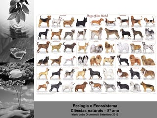 Ecologia e Ecossistema
Ciências naturais – 8º ano
Maria João Drumond / Setembro 2012
 