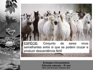 ESPÉCIE:     Conjunto     de  seres  vivos
semelhantes entre si que se podem cruzar e
produzir descendência fértil


            Ecologia e Ecossistema
           Ciências naturais – 8º ano
           Maria João Drumond / Setembro 2012
 