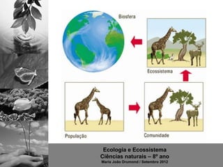 Ecologia e Ecossistema
Ciências naturais – 8º ano
Maria João Drumond / Setembro 2012
 