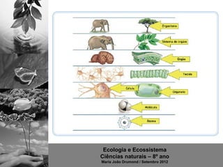 Ecologia e Ecossistema
Ciências naturais – 8º ano
Maria João Drumond / Setembro 2012
 