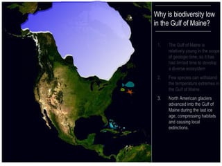 2 ecological history