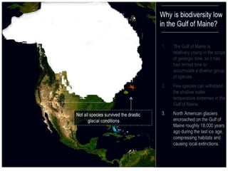 2 ecological history