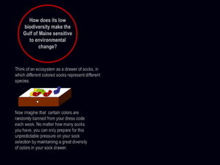 2 ecological history