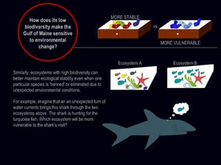 2 ecological history