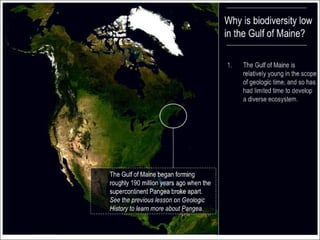 2 ecological history