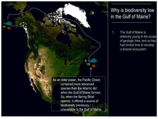 2 ecological history