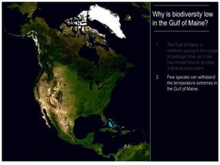 2 ecological history