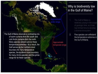 2 ecological history