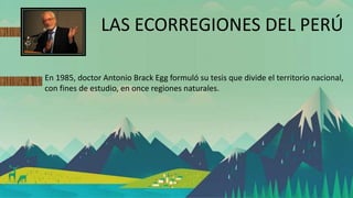 LAS ECORREGIONES DEL PERÚ
En 1985, doctor Antonio Brack Egg formuló su tesis que divide el territorio nacional,
con fines de estudio, en once regiones naturales.
 