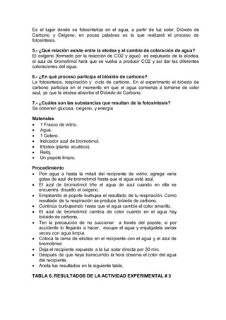 Es el lugar donde se fotosintetiza en el agua, a partir de luz solar, Dióxido de
Carbono y Oxígeno, en pocas palabras es la que realizará el proceso de
fotosíntesis.
5.- ¿Qué relación existe entre la elodea y el cambio de coloración de agua?
El oxígeno (formado por la reacción de CO2 y agua) es expulsado de la elodea,
el azul de bromotimol hará que se vuelva a producir CO2 y así dar las diferentes
coloraciones del agua.
6.- ¿En qué proceso participa el bióxido de carbono?
La fotosíntesis, respiración y ciclo de carbono. En el experimento el bióxido de
carbono participa en el momento en que el agua comienza a tornarse de color
azul, ya que la elodea absorbe el Dióxido de Carbono.
7.- ¿Cuáles son las substancias que resultan de la fotosíntesis?
Se obtienen glucosa, oxigeno, y energía
Materiales
 1 Frasco de vidrio.
 Agua.
 1 Gotero.
 Indicador azul de bromotimol.
 Elodea (planta acuática).
 Reloj.
 Un popote limpio.
Procedimiento
 Pon agua a hasta la mitad del recipiente de vidrio, agrega varia
gotas de azul de bromotimol hasta que el agua esté azul.
 El azul de bromotimol tiñe el agua de azul cuando en ella se
encuentra disuelto el oxígeno.
 Empleando el popote burbujea el resultado de tu respiración. Como
resultado de tu respiración se produce bióxido de carbono.
 Continúa burbujeando hasta que el agua cambie al color amarillo.
 El azul de bromotimol cambia de color cuando en el agua hay
bióxido de carbono.
 Ten la precaución de no succionar a través del popote, si por
accidente lo llegarás a hacer, escupe el agua y enjuágatela varias
veces con agua limpia.
 Coloca la rama de elodea en el recipiente con el agua y el azul de
bromotimol.
 Deja el recipiente expuesto a la luz solar directa por 30 min.
 Después de que haya transcurrido la hora observa el color del agua
del recipiente.
 Anota tus resultados en la siguiente tabla.
TABLA 6. RESULTADOS DE LA ACTIVIDAD EXPERIMENTAL # 3
 