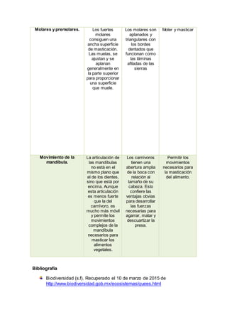 Molares y premolares. Los fuertes
molares
consiguen una
ancha superficie
de masticación.
Las muelas, se
ajustan y se
aplanan
generalmente en
la parte superior
para proporcionar
una superficie
que muele.
Los molares son
aplanados y
triangulares con
los bordes
dentados que
funcionan como
las láminas
afiladas de las
sierras
Moler y masticar
Movimiento de la
mandíbula.
La articulación de
las mandíbulas
no está en el
mismo plano que
el de los dientes,
sino que está por
encima. Aunque
esta articulación
es menos fuerte
que la del
carnívoro, es
mucho más móvil
y permite los
movimientos
complejos de la
mandíbula
necesarios para
masticar los
alimentos
vegetales.
Los carnívoros
tienen una
abertura amplia
de la boca con
relación al
tamaño de su
cabeza. Esto
confiere las
ventajas obvias
para desarrollar
las fuerzas
necesarias para
agarrar, matar y
descuartizar la
presa.
Permitir los
movimientos
necesarios para
la masticación
del alimento.
Bibliografía
Biodiversidad (s.f). Recuperado el 10 de marzo de 2015 de
http://www.biodiversidad.gob.mx/ecosistemas/quees.html
 