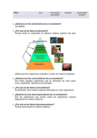 Rana Viva Consumidor
secundario
insectos Consumidor
terciario
 ¿Quiénes son los productores de un ecosistema?
Las plantas.
 ¿Por qué se les llama productores?
Porque tienen la capacidad de elaborar materia orgánica (de gran
utilidad para los organismos restantes) a partir de materia inorgánica.
 ¿Quiénes son los consumidores de un ecosistema?
Son todos aquellos organismos que se alimentan de otros seres
vivos; usualmente referidos a los animales.
 ¿Por qué se les llama consumidores?
Se alimentan de la materia orgánica fabricada por otros organismos.
 ¿Quiénes son los descomponedores de un ecosistema?
Son los organismos que actúan sobre los organismos muertos
degradando la materia orgánica.
 ¿Por qué se les llama descomponedores?
Porque descompone la materia orgánica.
 