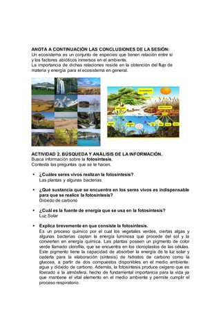 ANOTA A CONTINUACIÓN LAS CONCLUSIONES DE LA SESIÓN:
Un ecosistema es un conjunto de especies que tienen relación entre si
y los factores abióticos inmersos en el ambiente.
La importancia de dichas relaciones reside en la obtención del flujo de
materia y energía para el ecosistema en general.
ACTIVIDAD 2. BÚSQUEDA Y ANÁLISIS DE LA INFORMACIÓN.
Busca información sobre la fotosíntesis.
Contesta las preguntas que se te hacen.
 ¿Cuáles seres vivos realizan la fotosíntesis?
Las plantas y algunas bacterias
 ¿Qué sustancia que se encuentra en los seres vivos es indispensable
para que se realice la fotosíntesis?
Dióxido de carbono
 ¿Cuál es la fuente de energía que se usa en la fotosíntesis?
Luz Solar
 Explica brevemente en que consiste la fotosíntesis.
Es un proceso químico por el cual los vegetales verdes, ciertas algas y
algunas bacterias captan la energía luminosa que procede del sol y la
convierten en energía química. Las plantas poseen un pigmento de color
verde llamado clorofila, que se encuentra en los cloroplastos de las células.
Este pigmento tiene la capacidad de absorber la energía de la luz solar y
cederla para la elaboración (síntesis) de hidratos de carbono como la
glucosa, a partir de dos compuestos disponibles en el medio ambiente:
agua y dióxido de carbono. Además, la fotosíntesis produce oxígeno que es
liberado a la atmósfera, hecho de fundamental importancia para la vida ya
que mantiene el vital elemento en el medio ambiente y permite cumplir el
proceso respiratorio.
 
