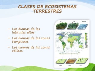 CLASES DE ECOSISTEMAS 
TERRESTRES 
• Los biomas de las 
latitudes altas 
• Los biomas de las zonas 
templadas 
• Los biomas de las zonas 
cálidas 
 