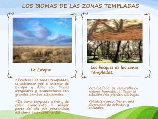 LOS BIOMAS DE LAS ZONAS TEMPLADAS 
Praderas de zonas templadas, 
se extienden por el interior de 
Europa y Asia, con lluvias 
irregulares y temperaturas con 
grandes cambios estacionales. 
De clima templado a frío y de 
color amarillento la mayor 
parte del año por predominio 
del clima árido continental 
Caducifolio: Se desarrolla en 
regions humedas, al llegar la 
estaciòn frìa pierden sus hojas. 
Mediterraneo: Tienen una 
diversidad de arbustos y 
animales. 
La Estepa: 
Los bosques de las zonas 
Templadas: 
 