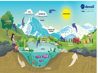 Ecosystem PPT | Detailed Notes | Impacts | PPTX