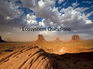 Ecosystem Questions 
 