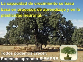 La capacidad de crecimiento se basa
basa en procesos de aprendizaje y en la
plasticidad neuronal.
Todos podemos crecer.
Podemos aprender SIEMPRE.
 