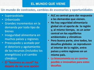 Para que ha servido la bioeconomía en América Latina?