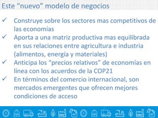 Para que ha servido la bioeconomía en América Latina?