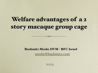 Welfare advantages of a 2
story macaque group cage
Bushmitz Moshe DVM - BFC Israel
moshe@bushmitz.com
2003
 