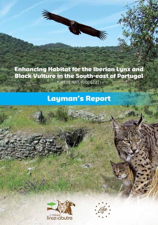 Enhancing Habitat for the Iberian Lynx and
Black Vulture in the South-east of Portugal
(LIFE08 NAT/P/000227)
Layman’s Report
 