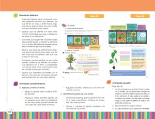 Prohibidasureproducciónporcualquiermediosinpermisoexplícitodelaeditorial.
104
Orientación didáctica
•	 Antes de trabajar estos contenidos, nom-
brar diferentes plantas, por ejemplo, las
que tienen en casa, y entre todos, argu-
mentar por qué son seres vivos y los cuida-
dos que necesitan para crecer.
•	 Explicar que las plantas son seres vivos
como los animales, pero que, a diferencia
de estos, no se desplazan.
•	 Comentar que las plantas necesitan el aire
y la luz para respirar y elaborar su alimento
con la ayuda del agua que disuelve las sus-
tancias nutritivas que hay en la tierra.
•	 Explicar que todas las plantas tienen raíz y
que esta se encuentra bajo tierra, que tie-
nen hojas que son verdes y tallo que une
la raíz con las hojas.
•	 Comentar que las semillas no son todas
iguales. Observar las semillas de cereza
que aparece en el libro y compararlas
con las de otros frutos como los limones,
los tomates, la papaya, el melón.
•	 Explicar que si plantan una semilla, con el
tiempo y los cuidados necesarios, crecerá
y se transformará en una nueva planta.
Actividades complementarias
a.	 Elaborar un ramo de flores.
•	 Dibujar y colorear varios modelos de flo-
res. Recortar.
•	 Pegar por detrás la parte superior de
un sorbete y forrar esta con papel cre-
pé de color verde (puede también ser
una pajita de color verde sin forrar).
Actividades resueltas
Págs. 82 y 83
1.	 La flor se transforma en fruto. El fruto contie-
ne la semilla. Las hojas permiten a la planta
respirar y transformar las sustancias del sue-
lo en alimento. El tallo sostiene la planta y
conduce las sustancias del suelo hacia las
hojas. La raíz sujeta la planta al suelo y ab-
sorbe las sustancias.
2.	 Experimentación según enlace.
3.	 Luz,aire,absorbenagua,sustancias,minerales.
Página 80Página 83Página 80Página 82
•	 Agrupar las flores y atarlas con una cinta for-
mando un ramo.
b.	 Identificar las partes de una planta.
•	 Observar las plantas que los alumnos han traí-
do a clase e identificar y nombrar sus partes:
raíz, tallo, hojas y flores.
•	 Dibujar y colorear la planta anotando los
nombres de sus partes.
 