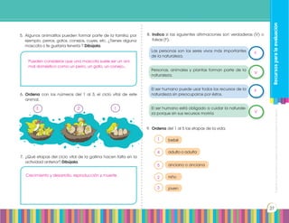 Prohibidasureproducciónporcualquiermediosinpermisoexplícitodelaeditorial.
27
Recursosparalaevaluación
6.	 Ordena con los números del 1 al 3, el ciclo vital de este
animal.
7.	 ¿Qué etapas del ciclo vital de la gallina hacen falta en la
actividad anterior? Dibújala.
8.	 Indica si las siguientes afirmaciones son verdaderas (V) o
falsas (F).
9.	 Ordena del 1 al 5 las etapas de la vida.
5.	 Algunos animalitos pueden formar parte de la familia; por
ejemplo, perros, gatos, conejos, cuyes, etc. ¿Tienes alguna
mascota o te gustaria tenerla ? Dibújala.
Las personas son los seres vivos más importantes
de la naturaleza.
bebé
niño
adulto o adulta
joven
anciano o anciana
El ser humano puede usar todos los recursos de la
naturaleza sin preocuparce por éstos.
Personas, animales y plantas forman parte de la
naturaleza.
El ser humano está obligado a cuidar la naturale-
za porque sin sus recursos moriría
Pueden considerar que una mascota suele ser un ani-
mal doméstico como un perro, un gato, un conejo...
Crecimiento y desarrollo, reproducción y muerte.
3
F
V
F
V
2 1
1
4
5
2
3
 