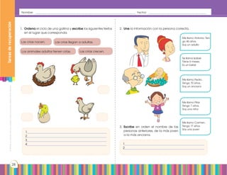 Prohibidasureproducciónporcualquiermediosinpermisoexplícitodelaeditorial.
28
1.	 Ordena el ciclo de una gallina y escribe los siguientes textos
en el lugar que corresponda.
2.	 Une la información con la persona correcta.
Las crias nacen.
Los animales adultos tienen crías.
Las crias llegan a adultas.
Las crías crecen.
1___________________________________________________________
2___________________________________________________________
3___________________________________________________________
4___________________________________________________________
Me llamo Antonio. Ten-
go 46 años.
Soy un adulto
Se llama Isabel.
Tiene 6 meses.
Es un bebé
Me llamo Pedro.
Tengo 70 años.
Soy un anciano
Me llamo Pilar.
Tengo 7 años.
Soy una niña
Me llamo Carmen.
Tengo 17 años.
Soy una joven
1___________________________________________________________
2___________________________________________________________
3.	 Escribe en orden el nombre de las
personas anteriores, de la más joven
a la más anciana.
Tareasderecuperación
Nombre: _______________________________________________________________ Fecha: ____________________________________
 