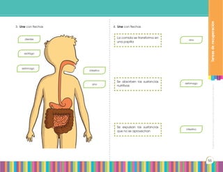 Prohibidasureproducciónporcualquiermediosinpermisoexplícitodelaeditorial.
55
3.	 Une con flechas 4.	 Une con flechas
dientes ano
estómago
intestino
ano
esófago
estómago
intestino
La comida se transforma en
una papilla
Se absorben las sustancias
nutritivas
Se expulsan las sustancias
que no se aprovechan
Tareasderecuperación
 