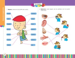 Prohibidasureproducciónporcualquiermediosinpermisoexplícitodelaeditorial.
56
1.	 Repasa y relaciona las partes del cuerpo. 2.	 Relaciona cada órgano de los sentidos con la acción
adecuada.
frente cabeza
ceja oreja
mejilla nariz
boca pecho
brazo vientre
mano pierna
dedo pie
Tareasderecuperación
solucionario
 