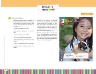Prohibidasureproducciónporcualquiermediosinpermisoexplícitodelaeditorial.
82
Página 58
UNIDAD 3
Orientación didáctica
•	 Leer el título de la unidad. Observar la
imagen. Para motivar a los alumnos y
recordar los conocimientos previos que
poseen, realizar preguntas similares a
las siguientes:
- ¿Qué animales reconocen?
-¿Qué plantas aparecen en la ima-
gen?
- ¿Qué animal les gusta más?
- ¿Cómo nacieron estos animales?
-¿Dónde podemos encontrar estos ani-
males?
- ¿De qué se alimentan estos animales?
-¿Qué cuidados requieren estos ani-
males?
•	 Explicar que las plantas y los animales
son seres vivos. Preguntar qué objetos
o elementos de la imagen no tiene
vida. Entre todos, enumerar las accio-
nes que llevan a cabo los seres vivos
y que los distinguen de los objetos ina-
nimados: nacer, comer, dormir, crecer,
reproducirse, emitir sonidos, etc.
•	 Además dialogar sobre la clasificación
de los animales según su origen, am-
biente, alimentación y relación con el
ser humano. Proporcionar varios ejem-
plos de cada clasificación y realizar un
álbum con cada categoría.
 