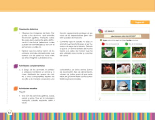 Prohibidasureproducciónporcualquiermediosinpermisoexplícitodelaeditorial.
84
Prohibidasureproducción60
1 Rodea cada animal según el código. Escribe su nombre.
¿Qué conozco sobre los animales?
Vive con las personas. Vive en la naturaleza.
https://goo.gl/k3sWxC
http://goo.gl/bQp9Wi
http://goo.gl/fmo43g
http://goo.gl/czIyjJ
http://goo.gl/bu1DvU
http://goo.gl/FUJoS7
http://goo.gl/FRkejB
http://goo.gl/9Xi7fq
http://goo.gl/xoqGoG
1. los animales
Página 66
libro de teoría
Actividades complementarias
a.	El juego de los animales. El profesor
o profesora nombrará un animal y la
clase, distribuida en grupos de cua-
tro o cinco componentes, expresa en
voz alta y de manera consecutiva una
	 característica de dicho animal (forma
de locomoción, tipo de alimentación,
número de patas, grupo al que perte-
nece, etc.). Formar frases con las carac-
terísticas proporcionadas.
Orientación didáctica
•	 Observar las imágenes del texto. Pre-
guntar a los alumnos qué animales
reconocen (gallina, mariquita, caba-
llo, oveja, perro, serpiente, gato, delfín y
tucán). Entre todos, determinar cuáles
pueden ser domesticados y vivir con el
ser humano y cuáles no.
•	 Explicar que los perros fueron de los
primeros animales domesticados que
vivieron con las personas, hace miles
de años. Imaginar cuál debía ser su
	 función: seguramente proteger el ga-
nado de los depredadores, pero tam-
bién pueden de mascota.
•	 Comentar que el caballo ha sido un
animal muy importante para el ser hu-
mano a lo largo de la historia. . Debido
a que es un animal dotado de mucha
fuerza y es veloz, de manera que ha
sido utilizado para montar y para tirar
de carros.
Página 60
Actividades resueltas
Pág. 60
1.	 Vive con las personas: gallinas, ovejas,
perros y gatos. Vive en la naturaleza:
mariquita, caballo, serpiente, delfín y
tucán.
 