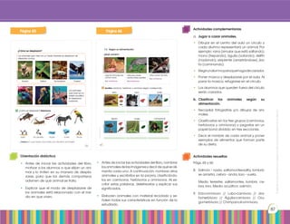 Prohibidasureproducciónporcualquiermediosinpermisoexplícitodelaeditorial.
87
Actividades complementarias
a.	 Jugar a cazar animales.
•	 Dibujar en el centro del aula un círculo y
cada alumno representará un animal. Por
ejemplo: rana (simular que está saltando),
mono (trepando), águila (volando), delfín
(nadando), serpiente (arrastrándose), jira-
fa (caminando).
•	 Elegirunalumnoparaquehagadecazador.
•	 Poner música y desplazarse por el aula. Al
parar la música, refugiarse en el círculo.
•	 Los alumnos que queden fuera del círculo
serán cazados.
b.	Clasificar los animales según su
alimentación.
•	 Recopilar fotografías y/o dibujos de ani-
males.
•	 Clasificarlas en los tres grupos (carnívoros,
herbívoros y omnívoros) y pegarlas en un
papel bond dividido en tres secciones.
•	 Decir el nombre de cada animal y poner
ejemplos de alimentos que forman parte
de su dieta.
Actividades resueltas
Págs. 65 y 66
8.	 Salmón - nada, saltamontes-salta, lombriz-
se arrastra, cebra - anda, loro - vuela.
	 Medio terrestre: saltamontes, lombriz, ce-
bra, loro. Medio acuático: salmón.
9.	Erizo-omnívoro // Lobo-carnívoro // Jira-
fa-herbívoro // Águila-carnívoro // Oru-
ga-herbívoro // Chimpancé-omnívoro.
Orientación didáctica
•	 Antes de iniciar las actividades del libro,
motivar a los alumnos a que elijan un ani-
mal y lo imiten en su manera de despla-
zarse, para que los demás compañeros
adivinen de qué animal se trata.
•	 Explicar que el modo de desplazarse de
los animales está relacionado con el me-
dio en que viven.
•	 Antes de iniciar las actividades del libro, nombrar
losanimalesdelasimágenesydecirdequéseali-
menta cada uno. A continuación, nombrar otros
animales y escribirlos en la pizarra, clasificándo-
los en carnívoros, herbívoros y omnívoros. Al es-
cribir estas palabras, deletrearlas y explicar sus
significados.
•	 Elaboren animales con material reciclado y se-
ñalen todas sus características en función de lo
estudiado.
Página 65 Página 66
 