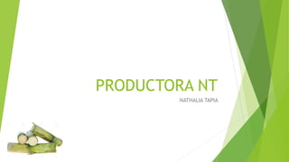 PRODUCTORA NT
NATHALIA TAPIA
 