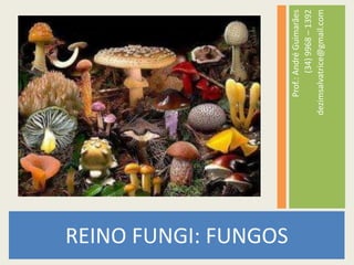 REINO FUNGI: FUNGOSProf.: André Guimarães(34) 9968 – 1392dezimsalvatrice@gmail.com