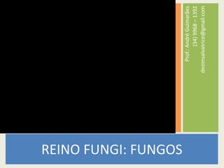 REINO FUNGI: FUNGOSProf.: André Guimarães(34) 9968 – 1392dezimsalvatrice@gmail.com