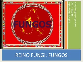 REINO FUNGI: FUNGOSProf.: André Guimarães(34) 9968 – 1392dezimsalvatrice@gmail.com