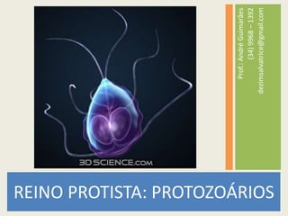 REINO PROTISTA: PROTOZOÁRIOSProf.: André Guimarães(34) 9968 – 1392dezimsalvatrice@gmail.com