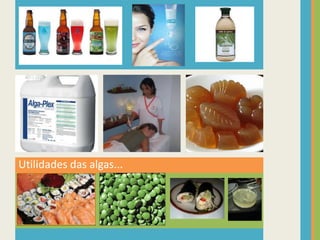Utilidades das algas...