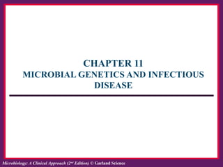 ISBN: 978-0-8153-6514-3Microbiology: A Clinical Approach, by Tony Srelkauskas © Garland ScienceMicrobiology: A Clinical Approach (2nd
Edition) © Garland Science
CHAPTER 11
MICROBIAL GENETICS AND INFECTIOUS
DISEASE
 