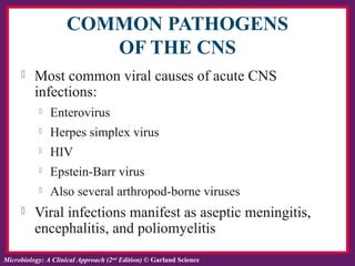 Ch. 24 Infections of Central Nervous System | PPT